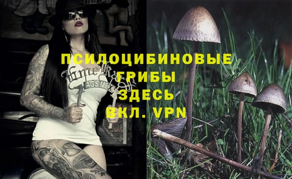 мефедрон Новодвинск