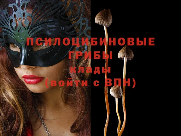 ALPHA-PVP Новокубанск