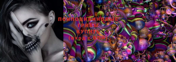 круглые Новозыбков