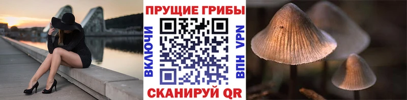 Псилоцибиновые грибы Magic Shrooms  Купить  Серов 